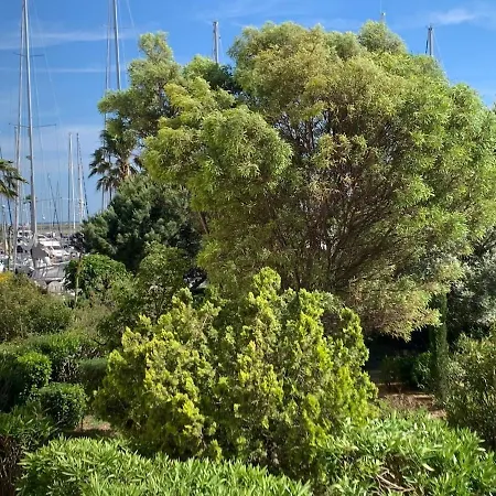 Apartamento Superbe T2 Climatise