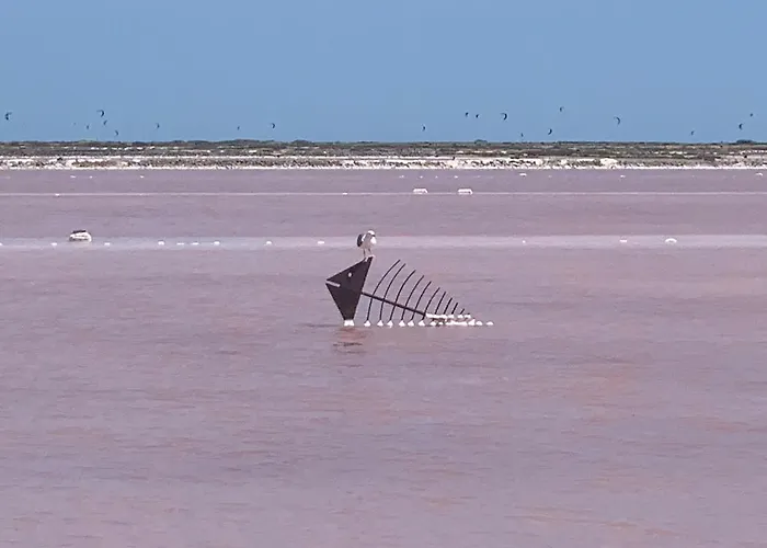 Superbe T2 Climatise 아파트 그륏상